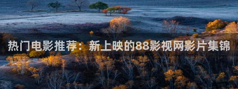 久久电影网午夜影院：热门电影推荐：新上映的88影视网影片集锦