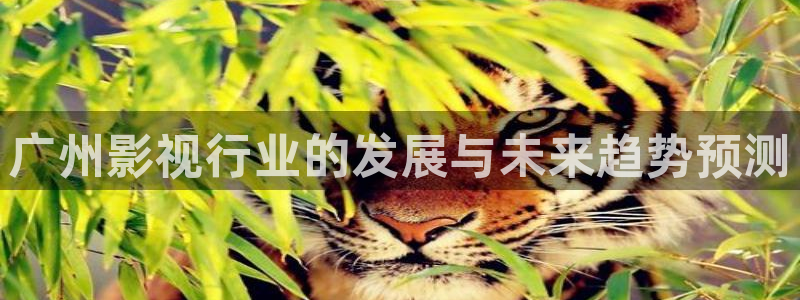 久久神马在线：广州影视行业的发展与未来趋势预测
