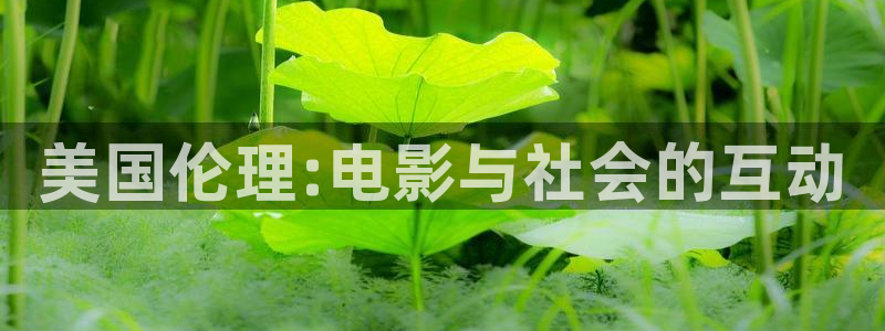 久久精品视频就在久久：美国伦理:电影与社会的互动