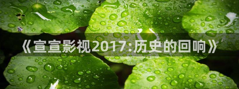 久久久久神马影院：《宣宣影视2017:历史的回响》