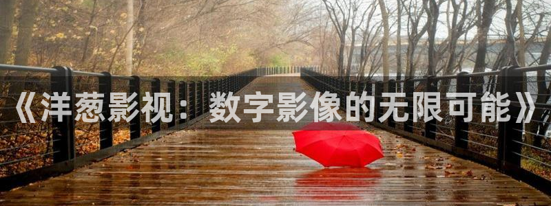 久久久精品国产嫩草影院欧洲：《洋葱影视：数字影像的无限可能》