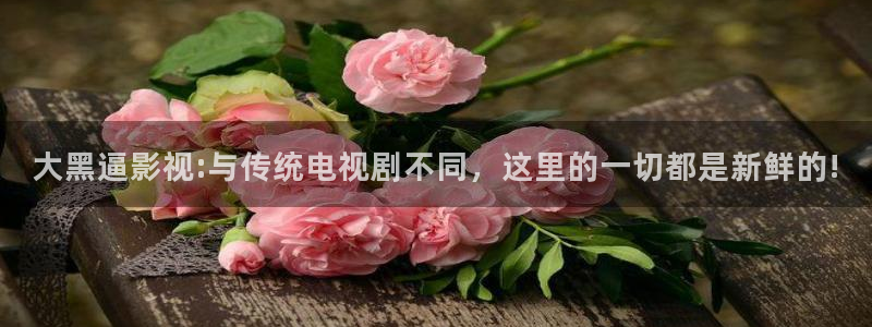 伊人久久成综合久久影院：大黑逼影视:与传统电视剧不同，这里的一切都是新鲜的!