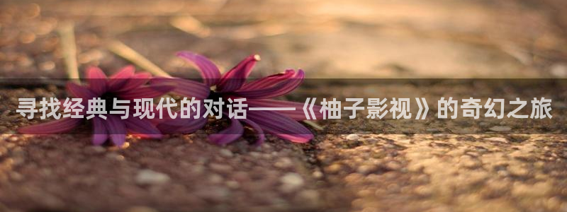 久久在线精品免费视频：寻找经典与现代的对话——《柚子影视》的奇幻之旅