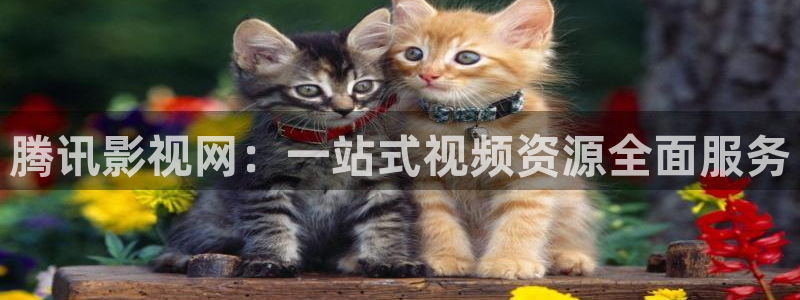久久在线视频首页：腾讯影视网：一站式视频资源全面服务