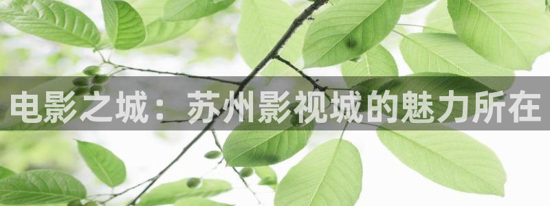 久久精品视频收藏：电影之城：苏州影视城的魅力所在