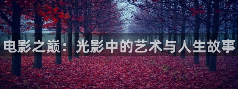 久久曰批视频：电影之巅：光影中的艺术与人生故事