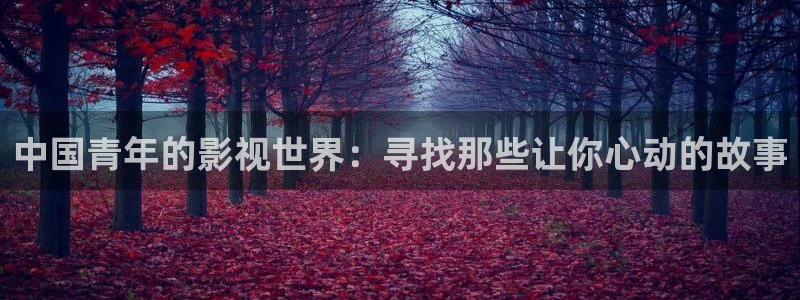 久久爱精品电影：中国青年的影视世界：寻找那些让你心动的故事
