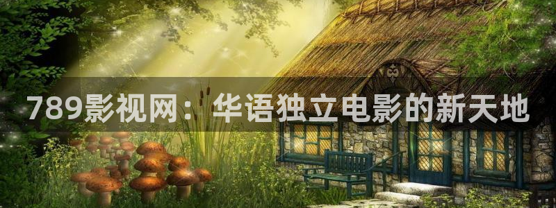 久久这里只有精品视频100：789影视网：华语独立电影的新天地