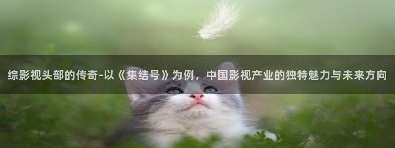 久久精品视频七：综影视头部的传奇-以《集结号》为例，中国影视产业的独特魅力与未来方向
