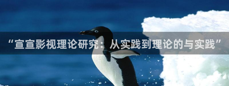 pao 久久成视频一区二区：“宣宣影视理论研究：从实践到理论的与实践”