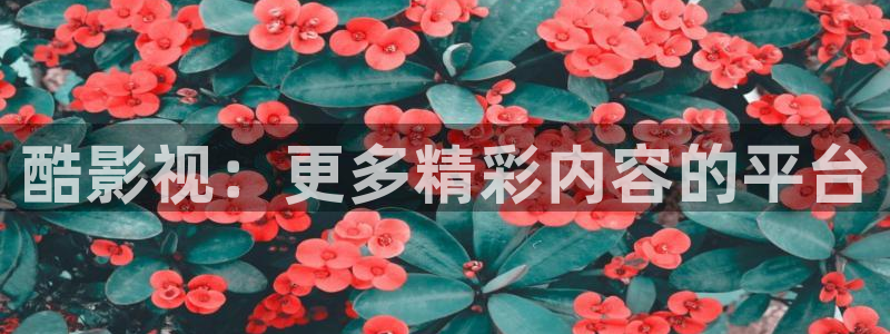 久久青草视频免费视频：酷影视：更多精彩内容的平台